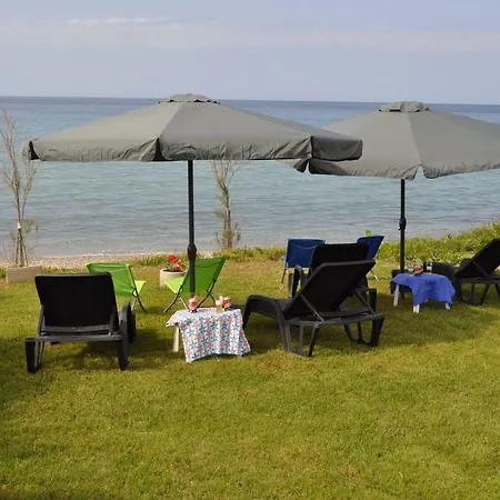 Mathome Mira Mare Anemi *
