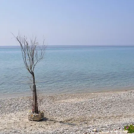 Mathome Mira Mare Anemi